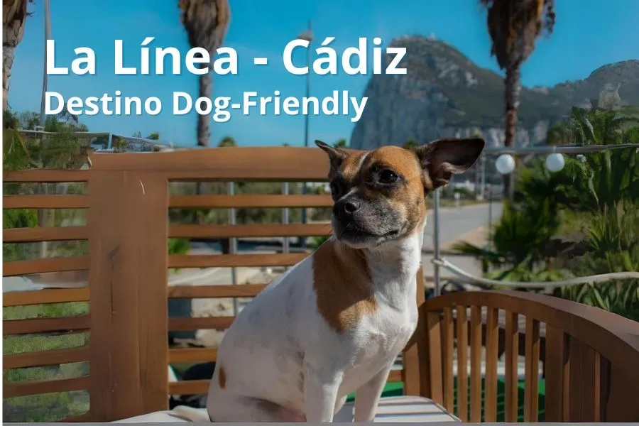 La Línea de la Concepción: Un Destino Dog-Friendly en Cádiz